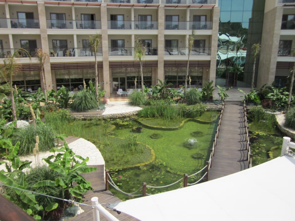 Seerosenteich Paloma Pasha