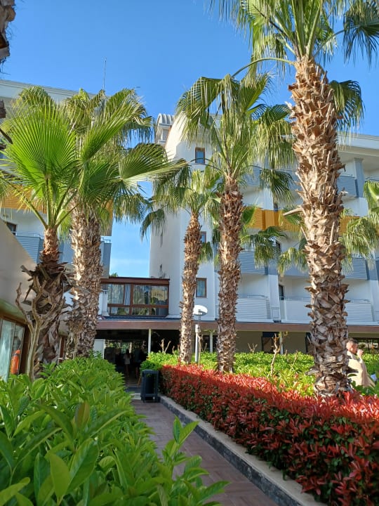 Gartenanlage Hane Family Resort