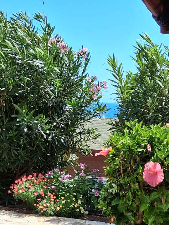 Gartenanlage Marina Playa Suite Hotel