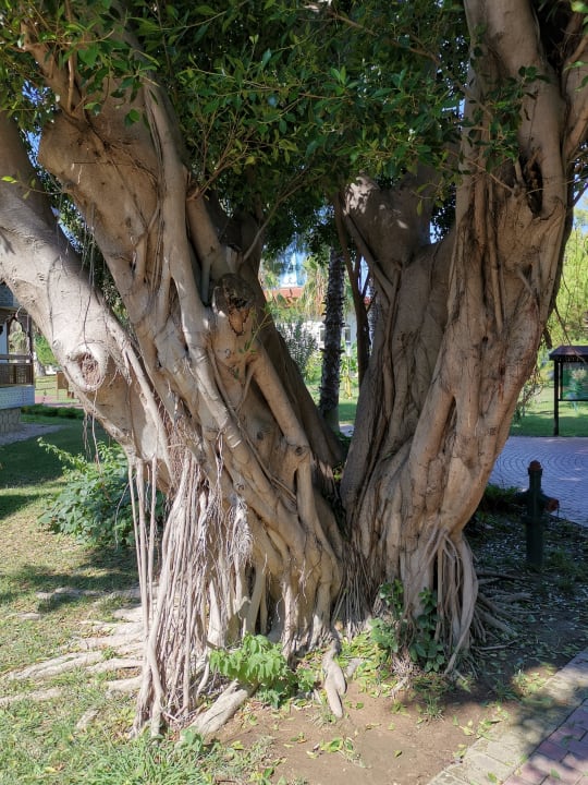 Gartenanlage Ali Bey Park Manavgat