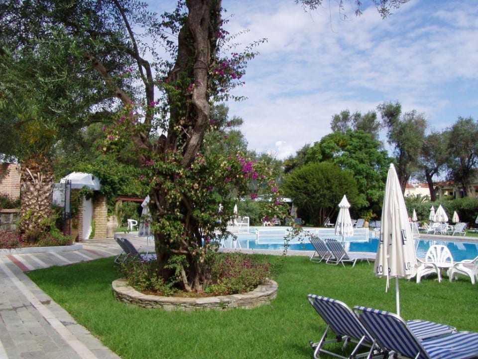 Aktionspool Sentido Apollo Palace