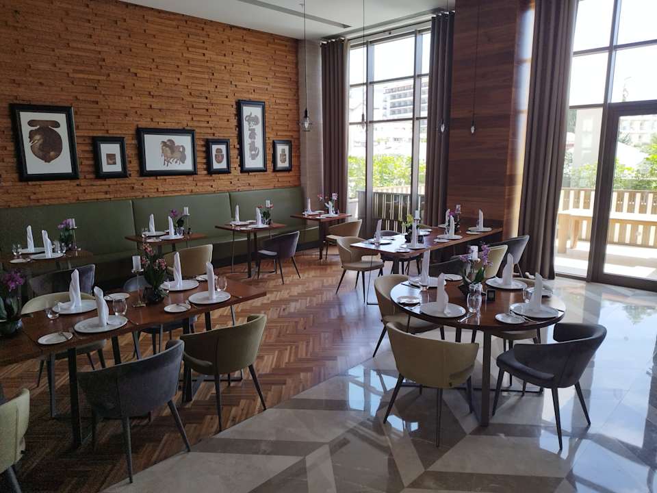 Gastro Acanthus Cennet Barut Collection