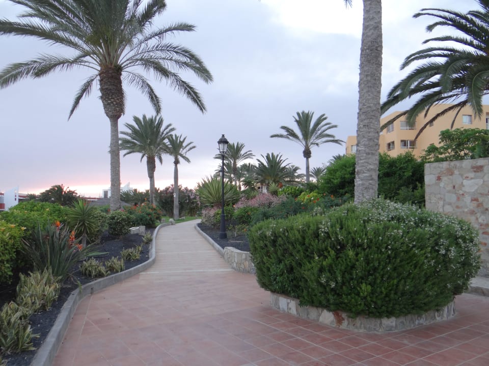 Ścieżka pomiędzy ogrodem SBH Costa Calma Beach Resort