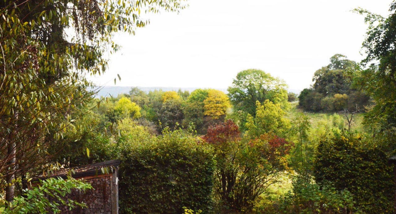 Jardin B&B Le Mouton qui chante