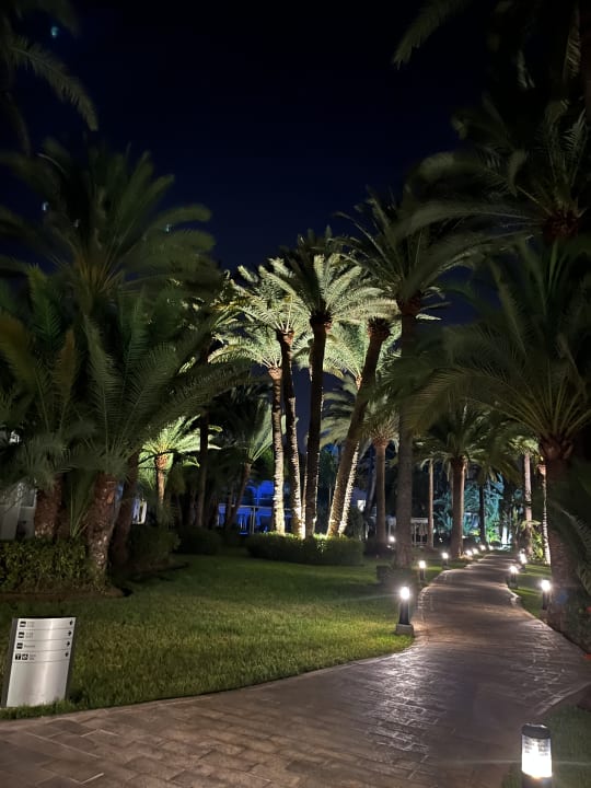 Außenansicht Hotel Riu Palace Oasis