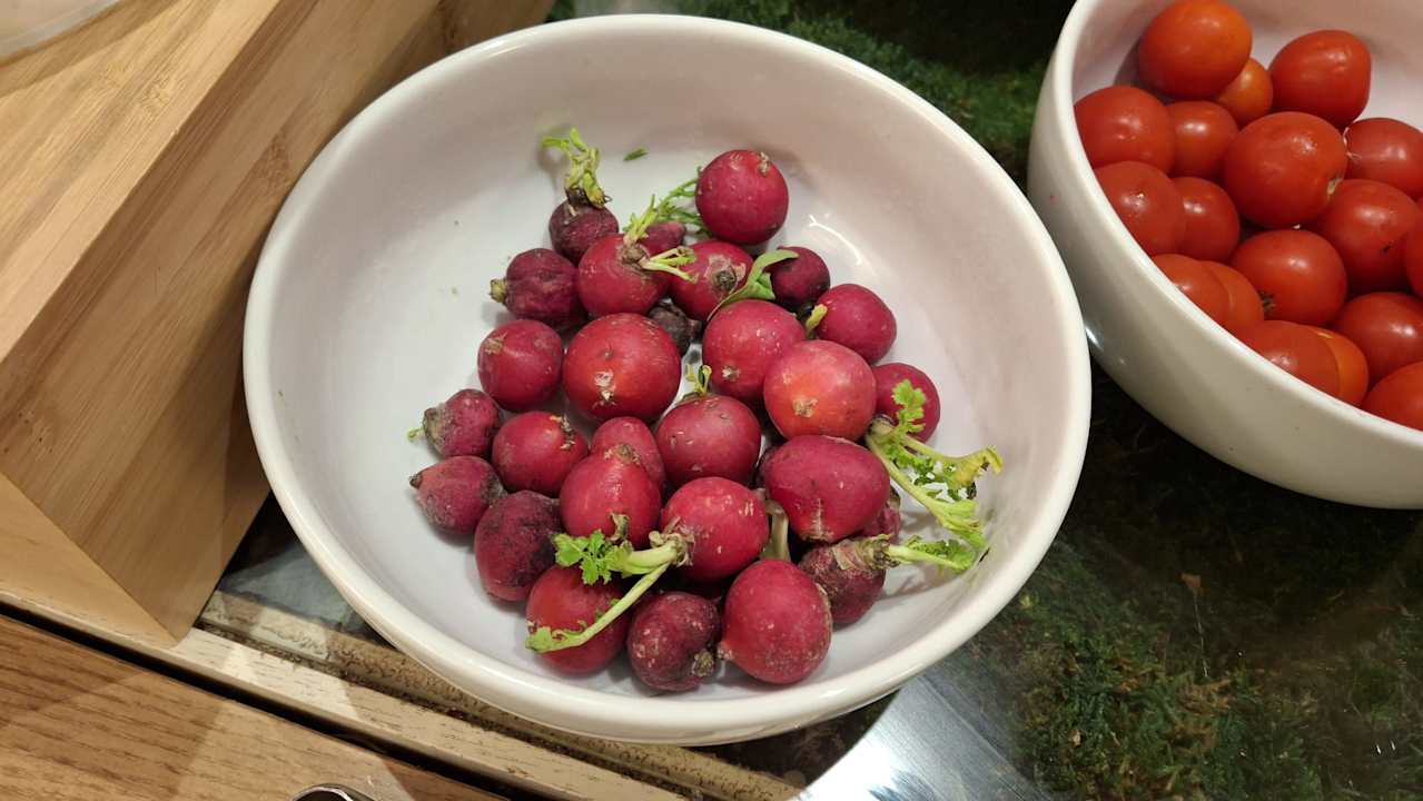 Gastro Sentido Michelizia Tropea Resort