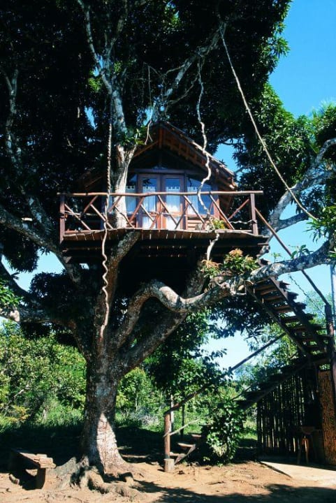 Zimmer Art Jungle Eco Lodge & Spa