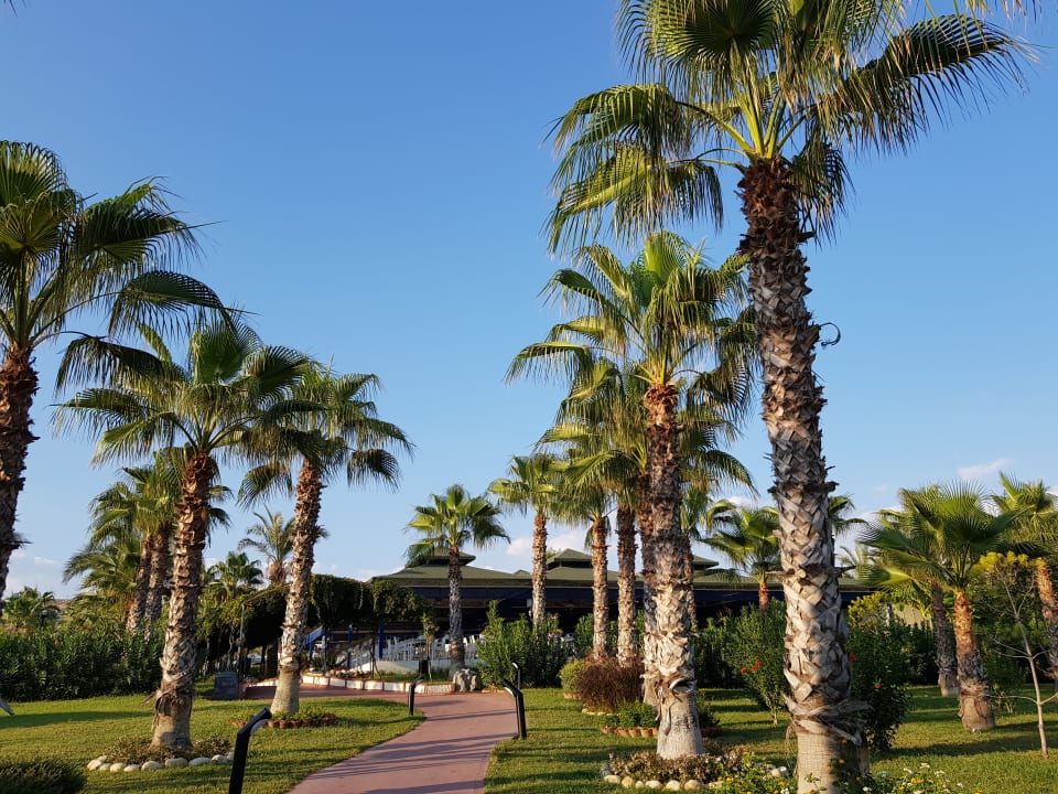 Gartenanlage Hotel Turan Prince