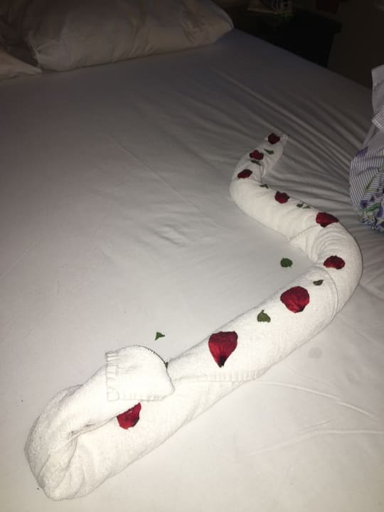 Zimmer Jaz Makadi Oasis Resort