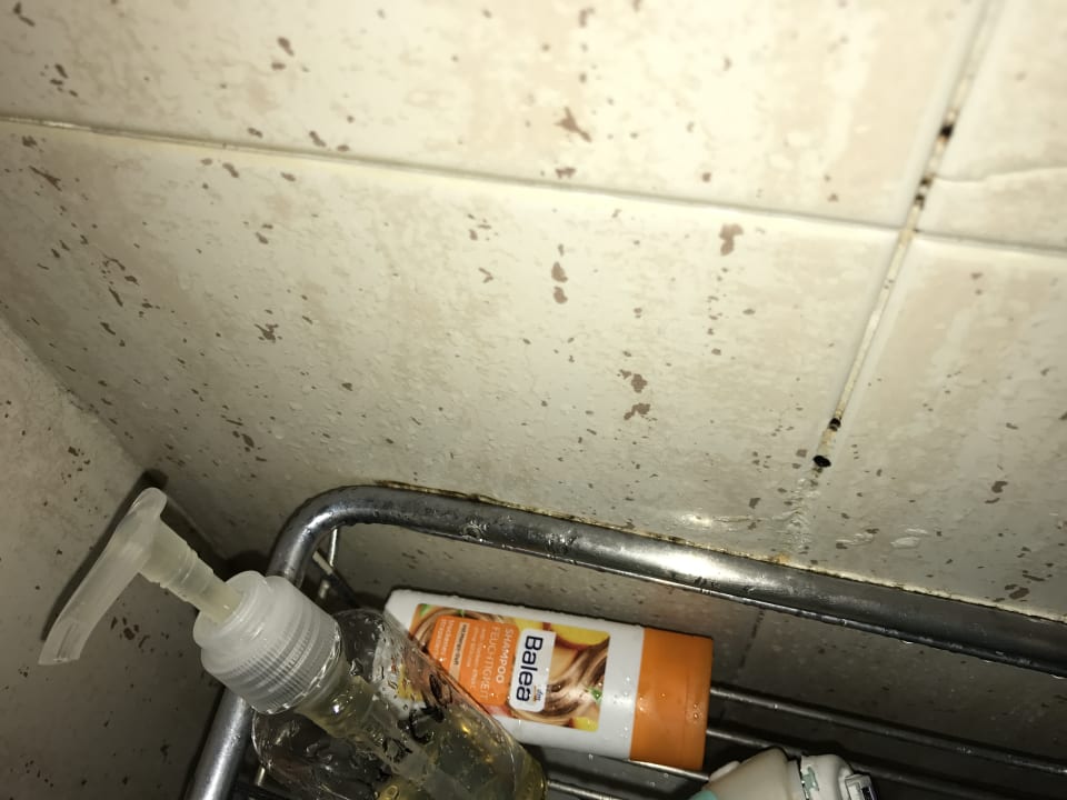 Zimmer Abora Buenaventura by Lopesan Hotels