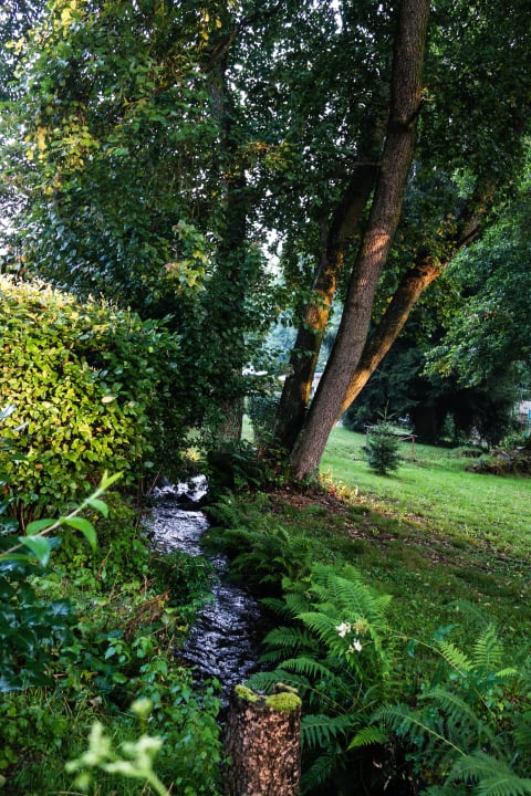 Gartenanlage Hotel Vogtland