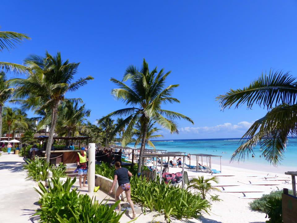 Strand Akumal Bay Beach & Wellness Resort