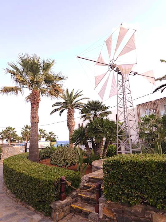 Gartenanlage allsun Hotel Malia Beach