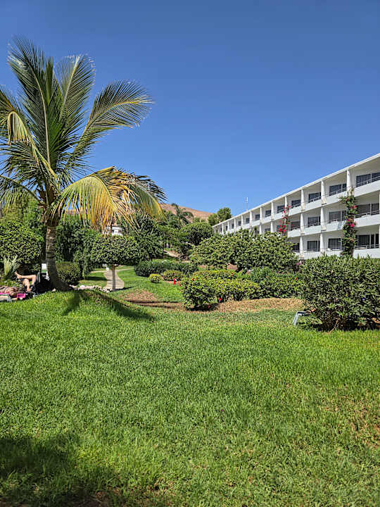Gartenanlage allsun App.-Hotel Esquinzo Beach