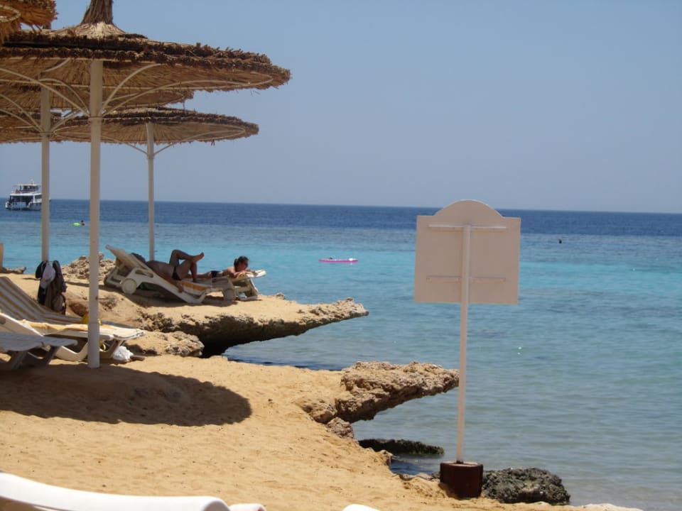 Strand Hotel Reef Oasis Palms