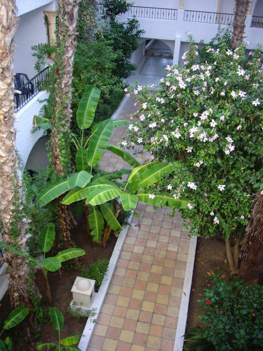 Nesrine Hotel Nesrine