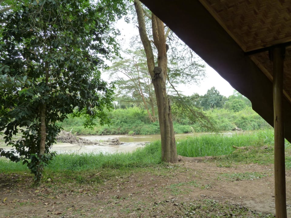 Ausblick Ishasha Wilderness Lodge