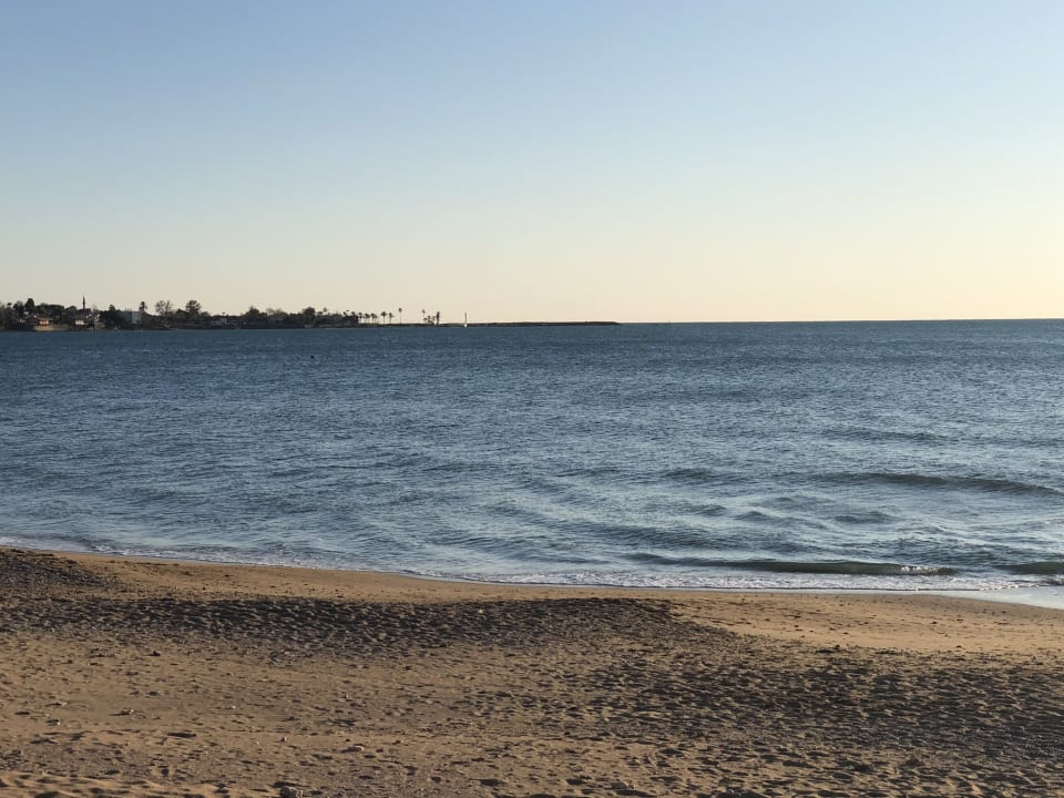 Strand Acanthus Cennet Barut Collection