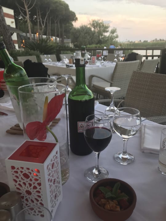 Gastro ROBINSON NOBILIS