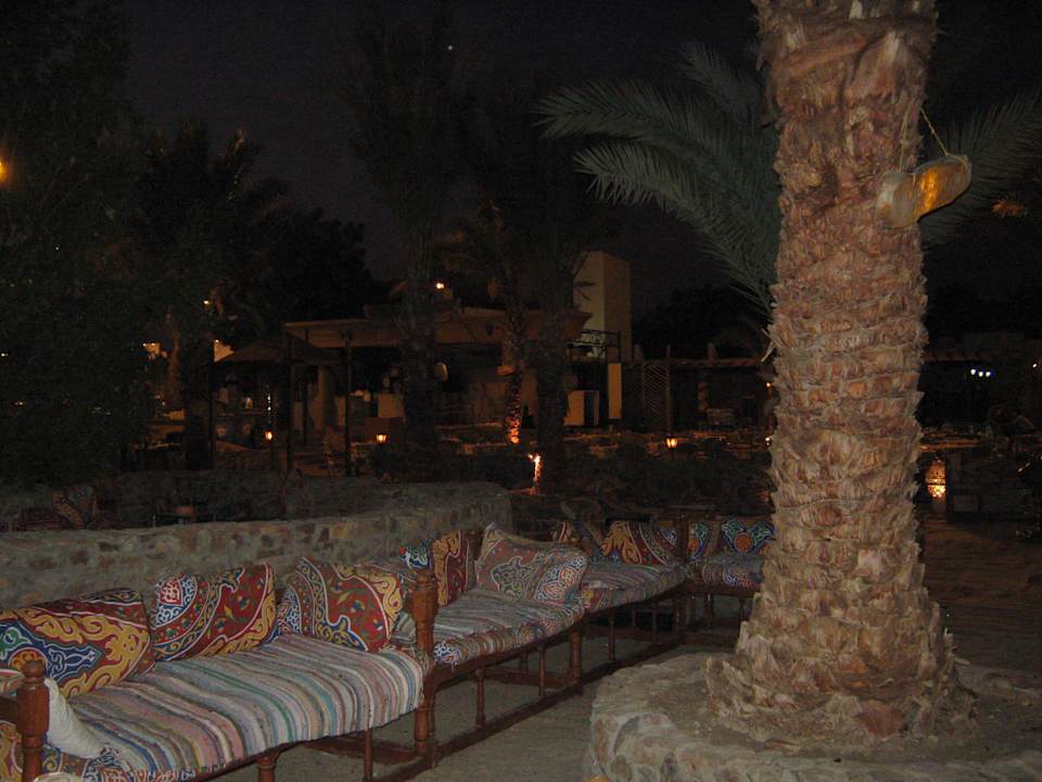 Shisha Menaville Safaga