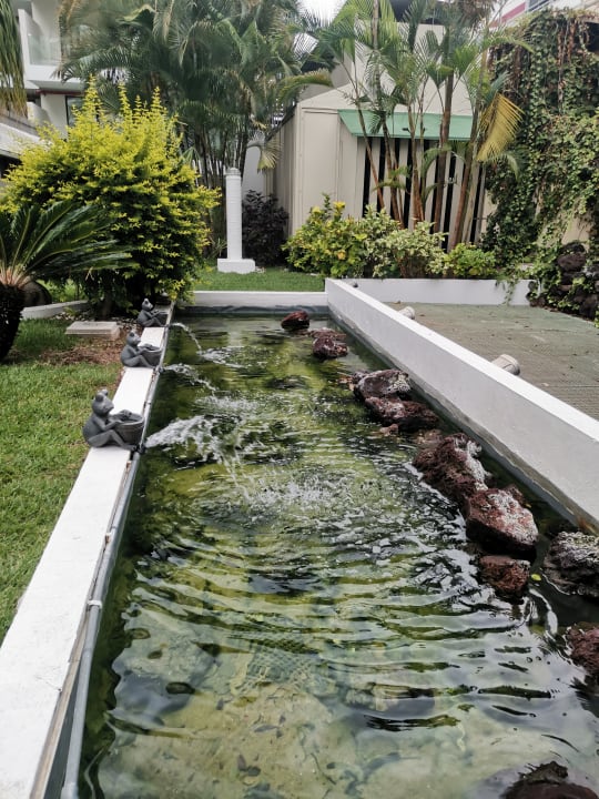 Gartenanlage Hotel ValleMar