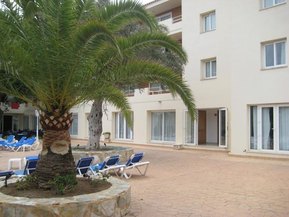 Innenseite THB Dos Playas - Adults only