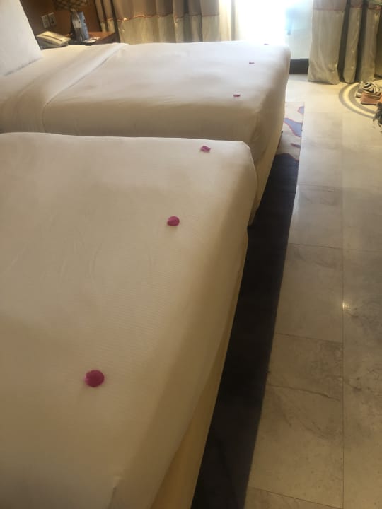 Zimmer DoubleTree by Hilton Resort & Spa Marjan Island