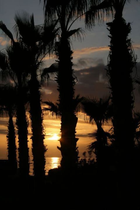 Sonnenuntergang beim Hotel Gardenia Gardenia Hotel