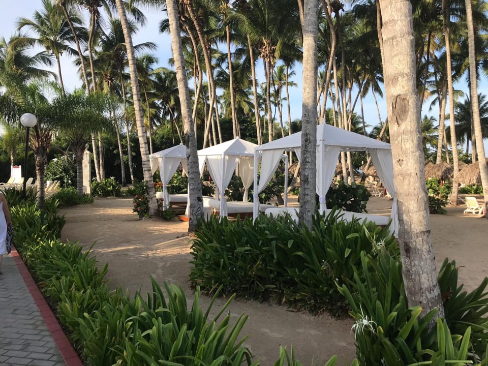 Strand Bahia Principe Luxury Bouganville