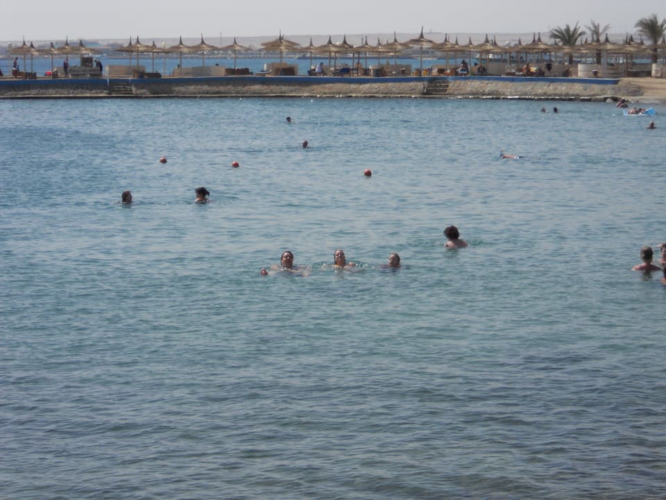 Das Meer Pickalbatros Aqua Park Resort - Hurghada