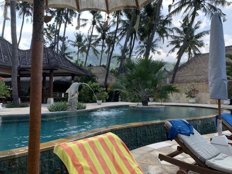 Pool Palm Garden Amed Beach & Spa Resort Bali