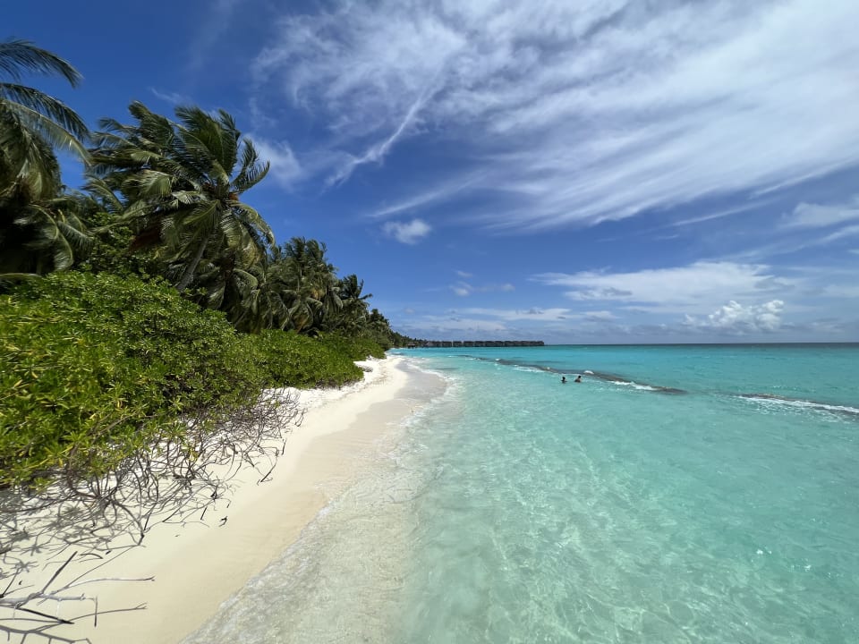 Strand Kuramathi Maldives
