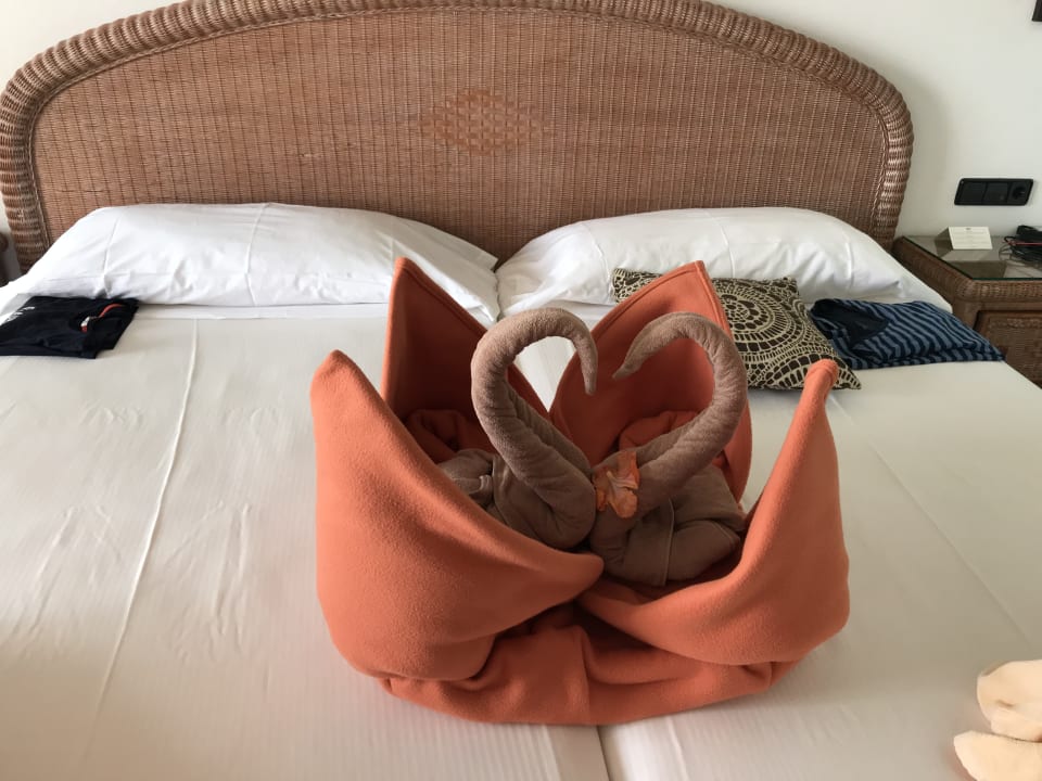 Zimmer Hotel Riu Touareg