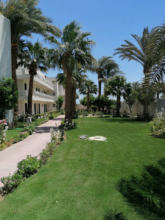 Gartenanlage Amarina Abu Soma Resort & Aquapark