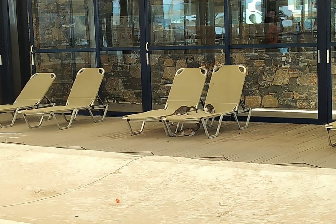 Pool Hotel Aphrodite Beach Club