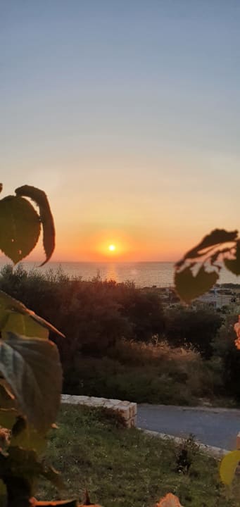Ausblick Oasis Scaleta Hotel