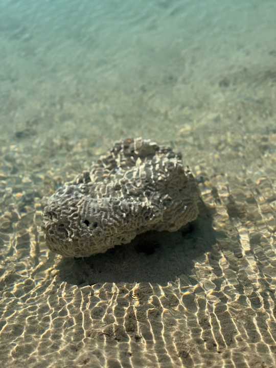 Strand Grand Waterworld Makadi & Family Star Makadi