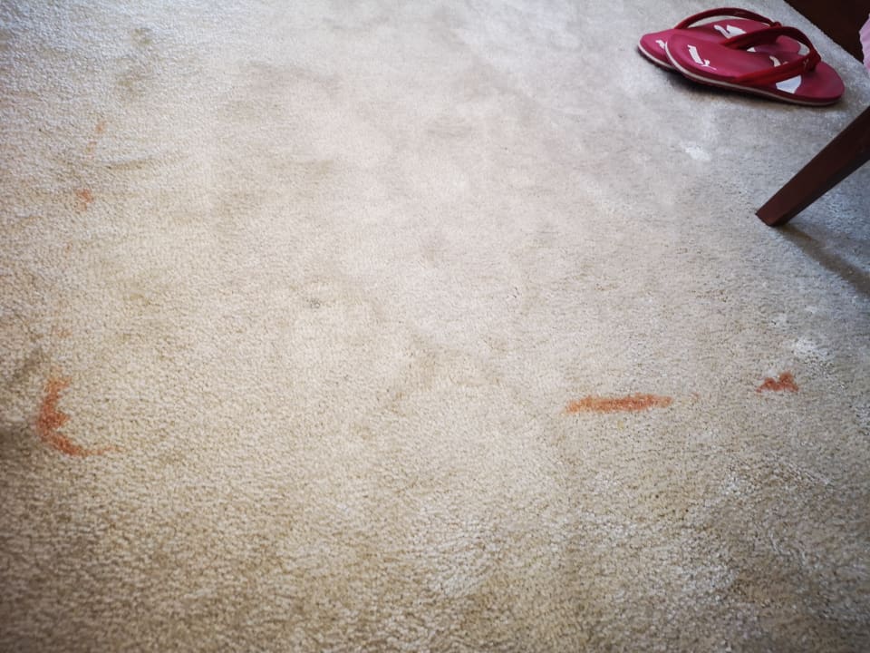 Zimmer Grand Hotel Adriatic I + II