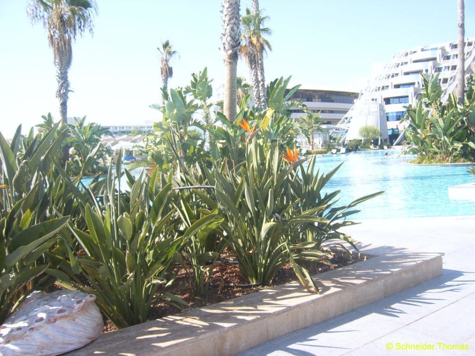 Gartenanlage Susesi Luxury Resort