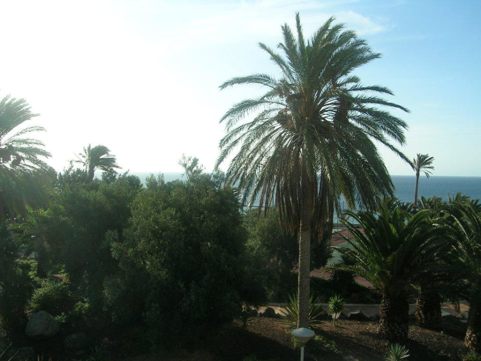 Ausblick vom Zimmer 212 SBH Club Paraiso Playa
