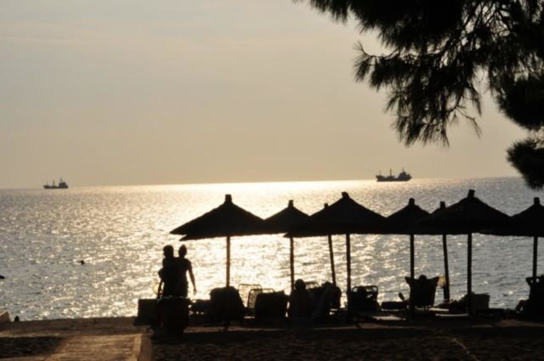 Vue de la plage Hotel Portes Beach
