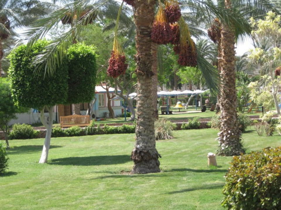 Anlage  Beach Albatros Resort