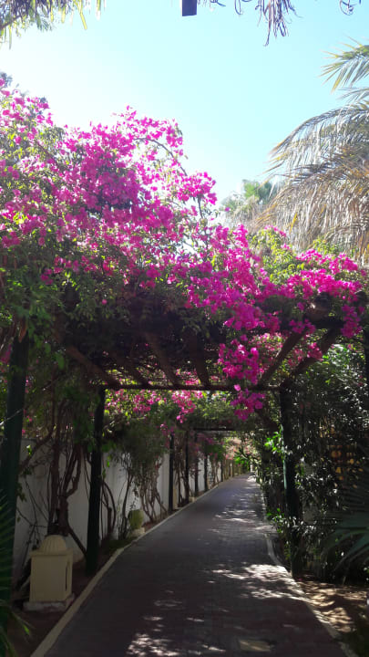 Strand Hotel Nesrine