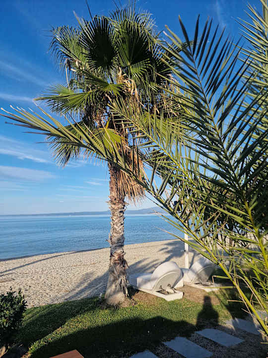 Strand Cocooning Suites by Blue Carpet