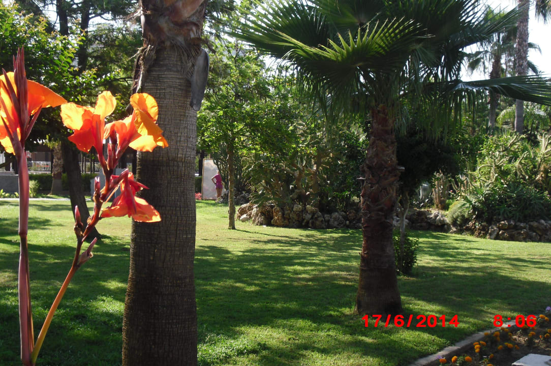 Gartenanlage Arycanda Kirman Premium