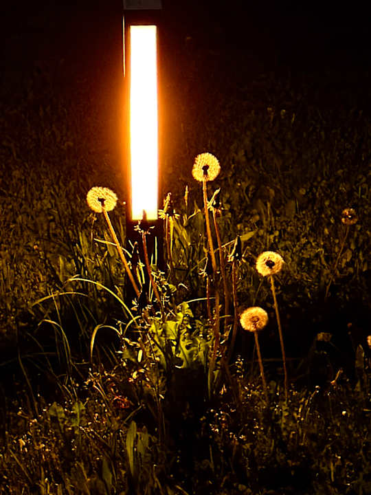 Gartenanlage Spirit & SPA Hotel Birkenhof am Elfenhain