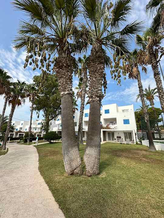Außenansicht Cala Llenya Resort Ibiza