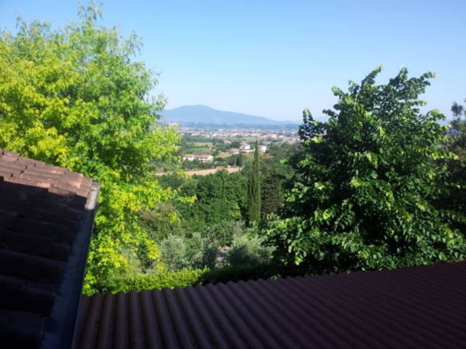 Ausblick morgens Agriturismo Montalto