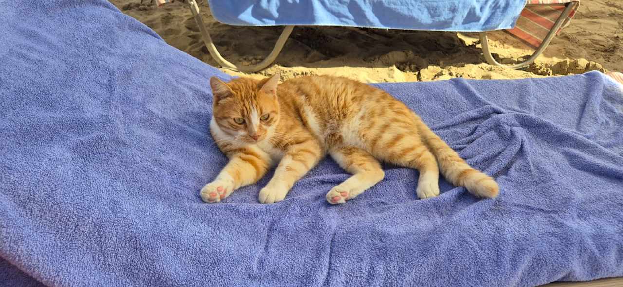 Sonstiges Nerton Hotel - Erwachsenenhotel ab 16 Jahren