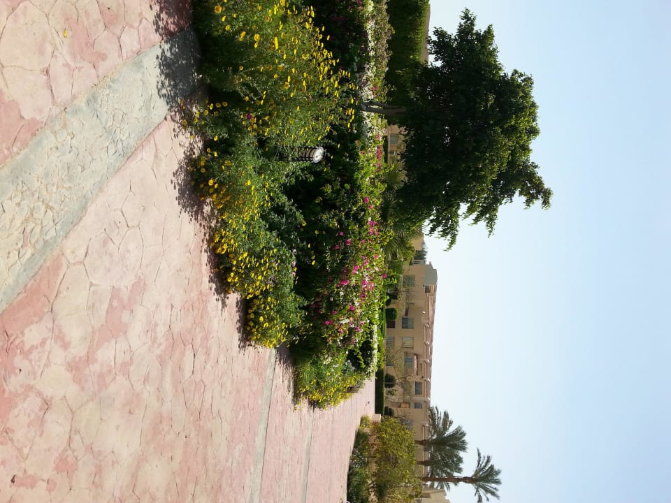 Garten Cleopatra Luxury Resort Makadi Bay